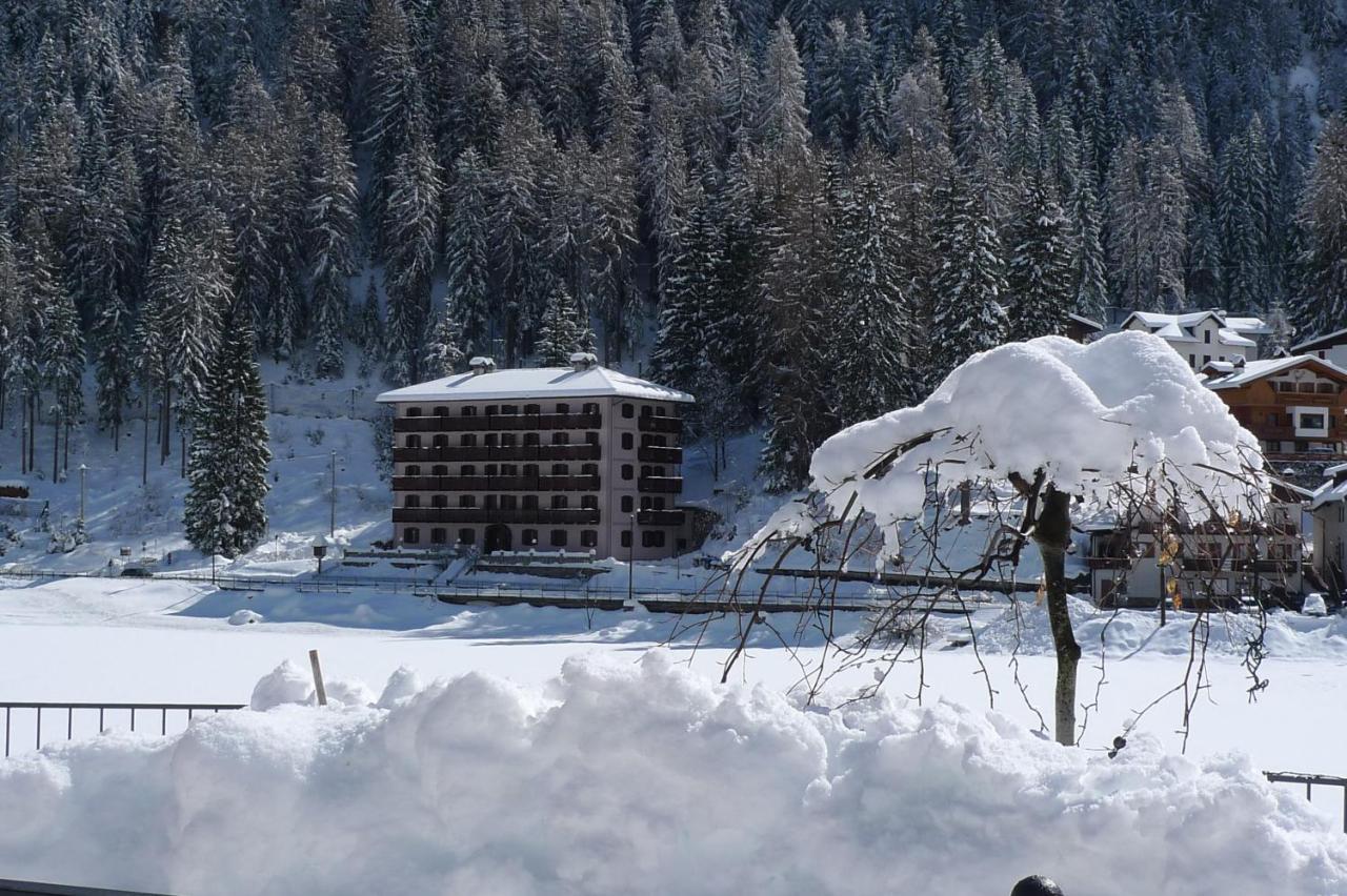 Appartamenti Regina Alleghe Exterior foto